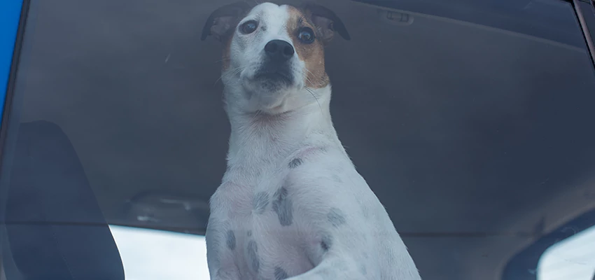 Car Lockout Solutions in Moreno Valley, California